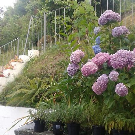 Apartment Maison De Marina Piano di Follo ภายนอก รูปภาพ